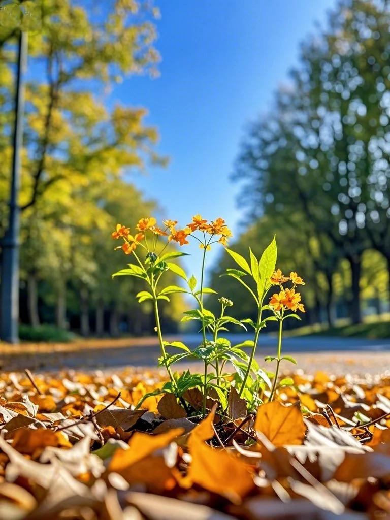 昨天闺蜜跟我哭诉
为什么明明有钱但还是不开心
我告诉她一个能活得轻松的方法
那就