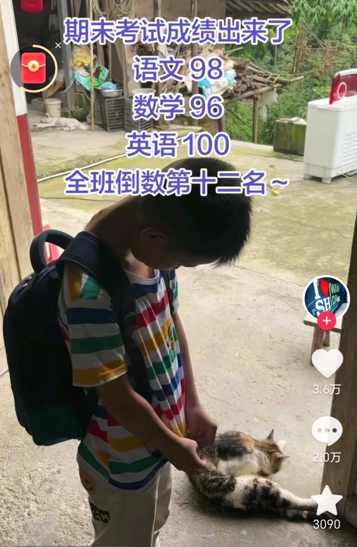 小男孩期末考试成绩出来了，语文98分，数学96分，英语100分，全班45个同学，