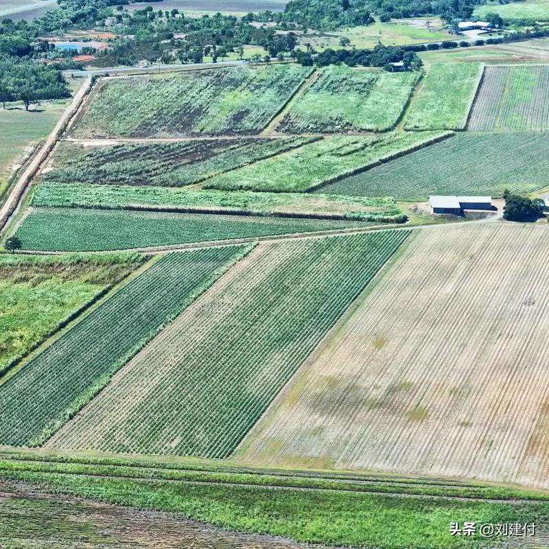 警惕伸向农田的间谍“黑手” 警惕伸向农田的间谍“黑手”
间谍并非只存在于影视暗战