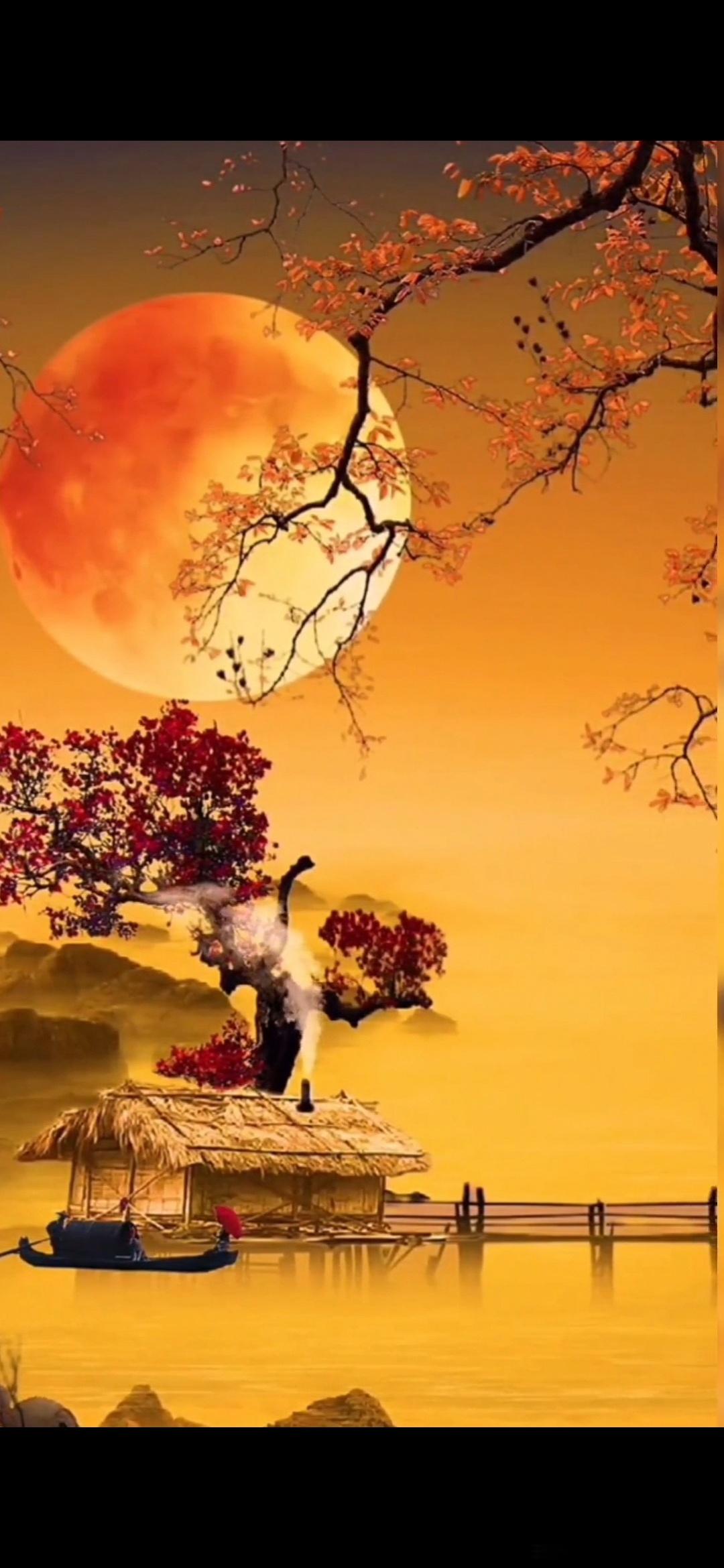 #情感# 原创——七绝·寒蝉老叶萧疏带露光，寒蝉咽恨入秋阳。西风满地无人见，独倚