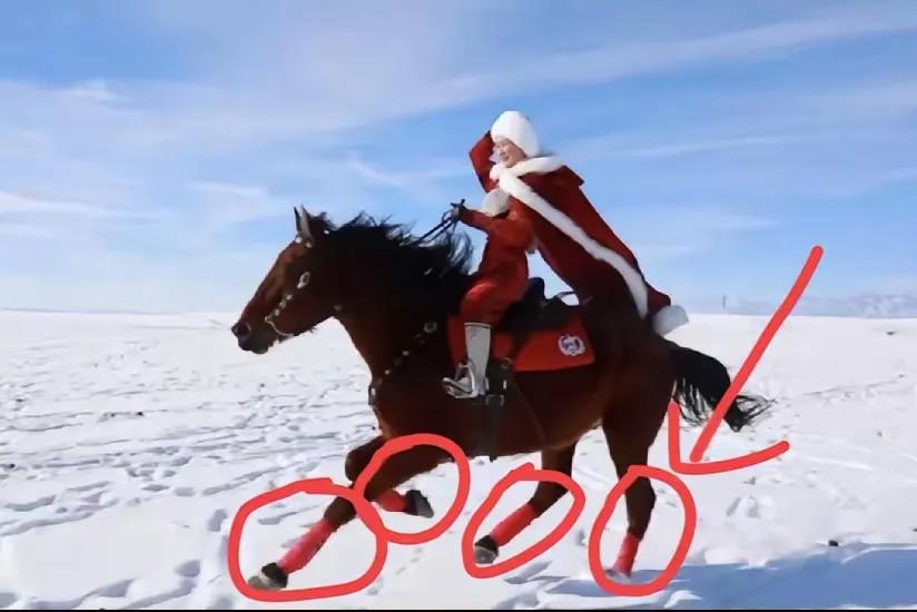 贺娇龙骑深棕马的照片火出圈，
大家盯着马腿上那抹亮色好奇：这绑的是啥花架子？其实