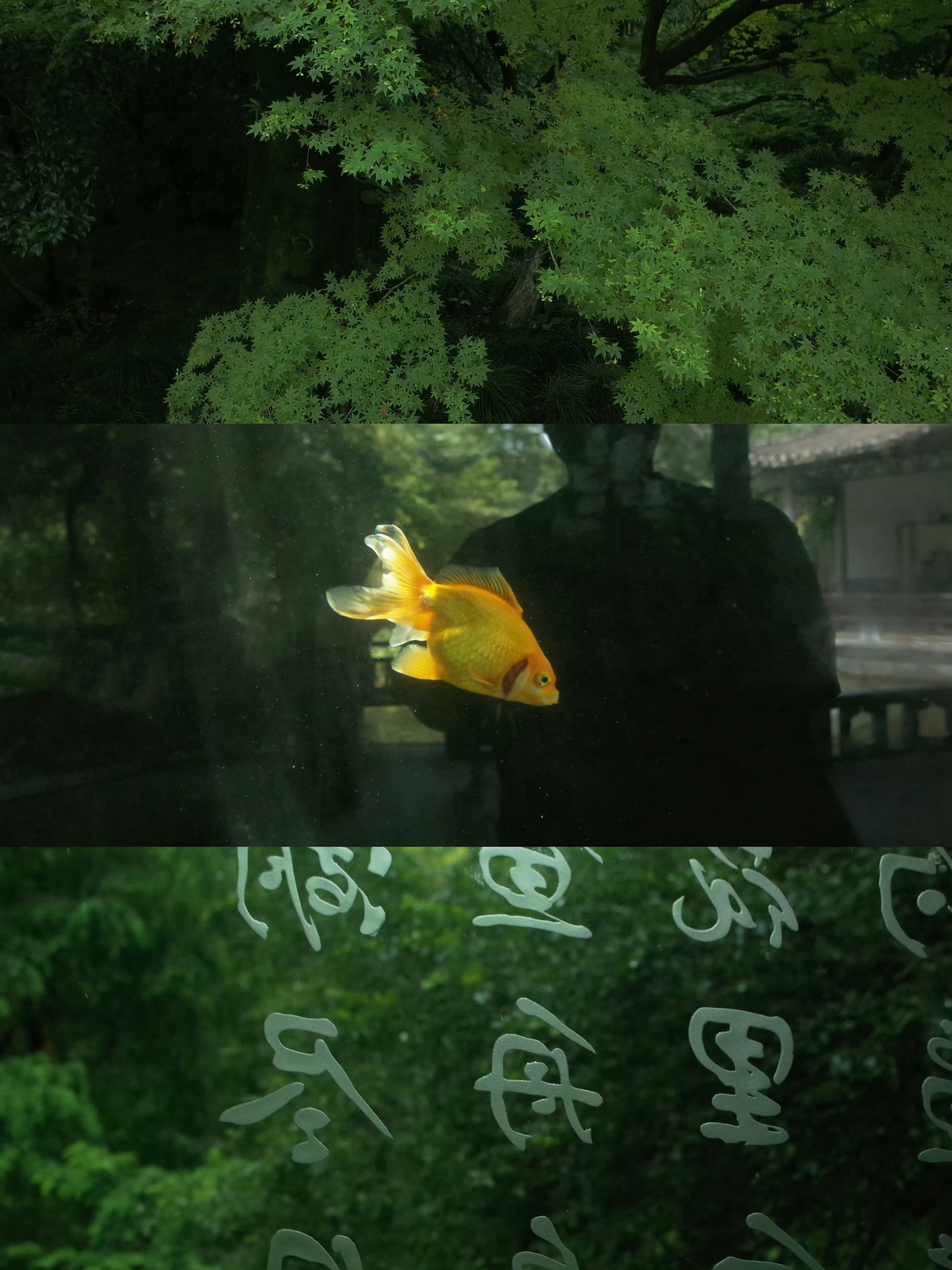 桃花  绿意一旦浓稠起来，就不再是颜色，而是一种有重量的清凉。走进树荫深处，闷热