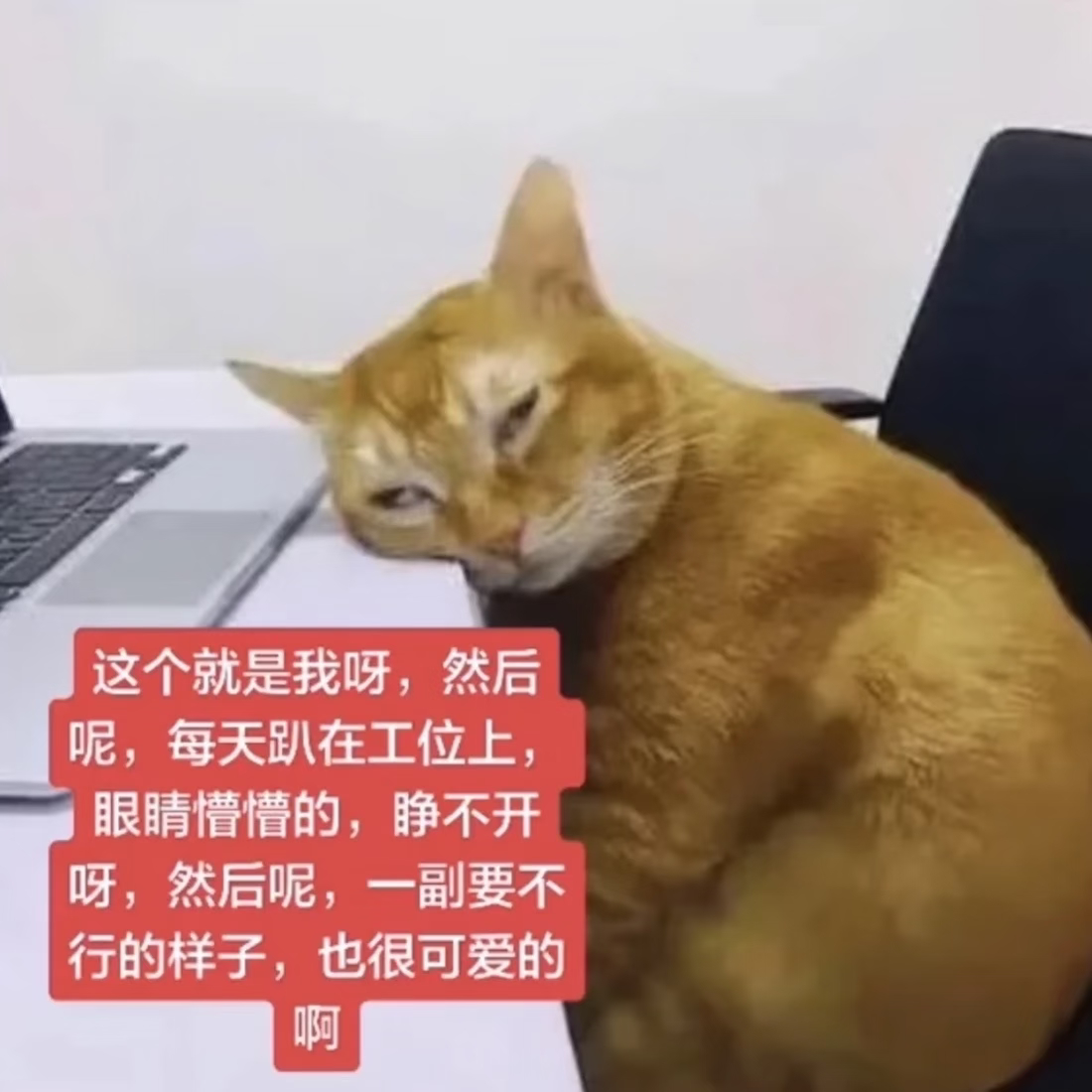 一旦开始上班物欲就缠上来了不上班的时候无欲无求，一开工看啥都想入手。枯燥重复的工