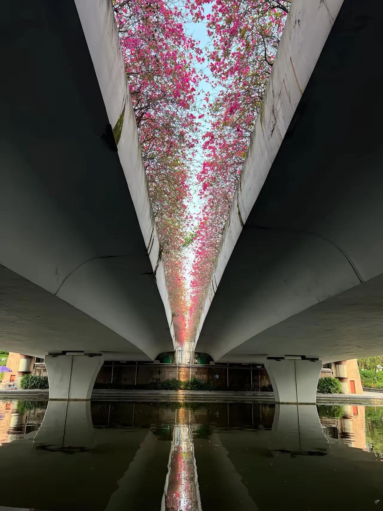 东方财富涨停榜 TOP301，雷科防务（商业航天）2，烽火通信（CPO概念）3，