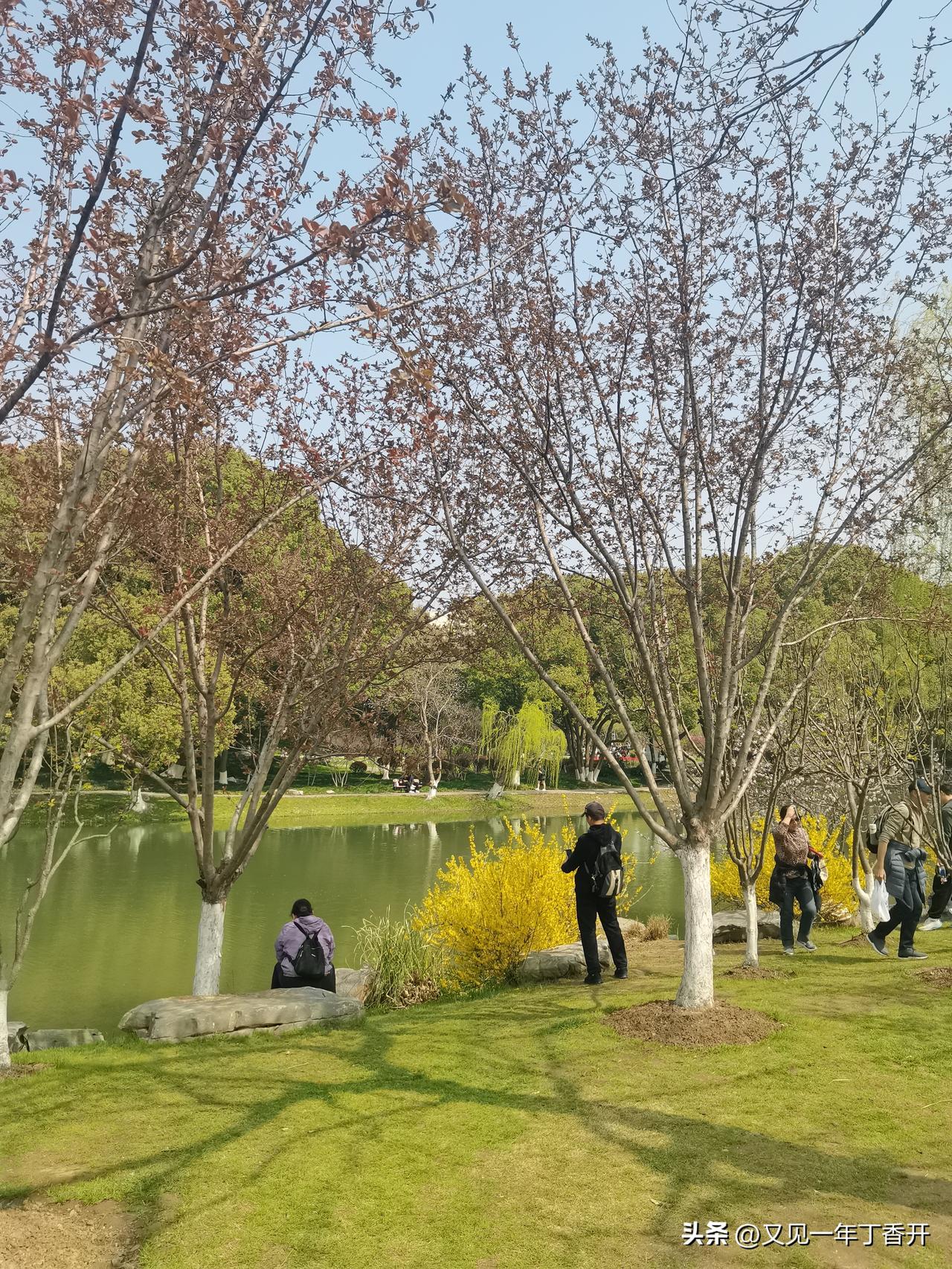 有没有感觉涨声一片

家电涨价了，满屏都在喊，本来想回家把家里冰箱之类的也换一换