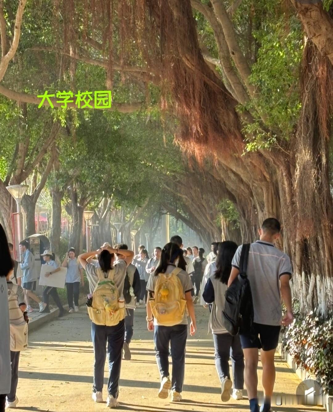 太痛心！
泸州20岁女大学生遗憾离世，
单亲妈妈强忍悲痛仍遭苛责…？
 
四川泸