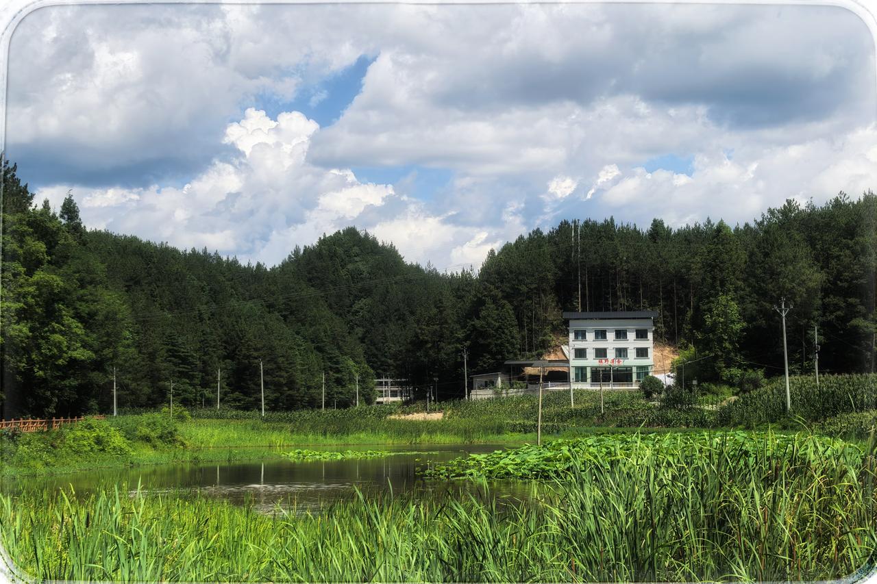 林海谷公园的绿草地
未曾得朋友相邀来访，怎会寻到这绿草地的天堂。它藏在林海谷的神