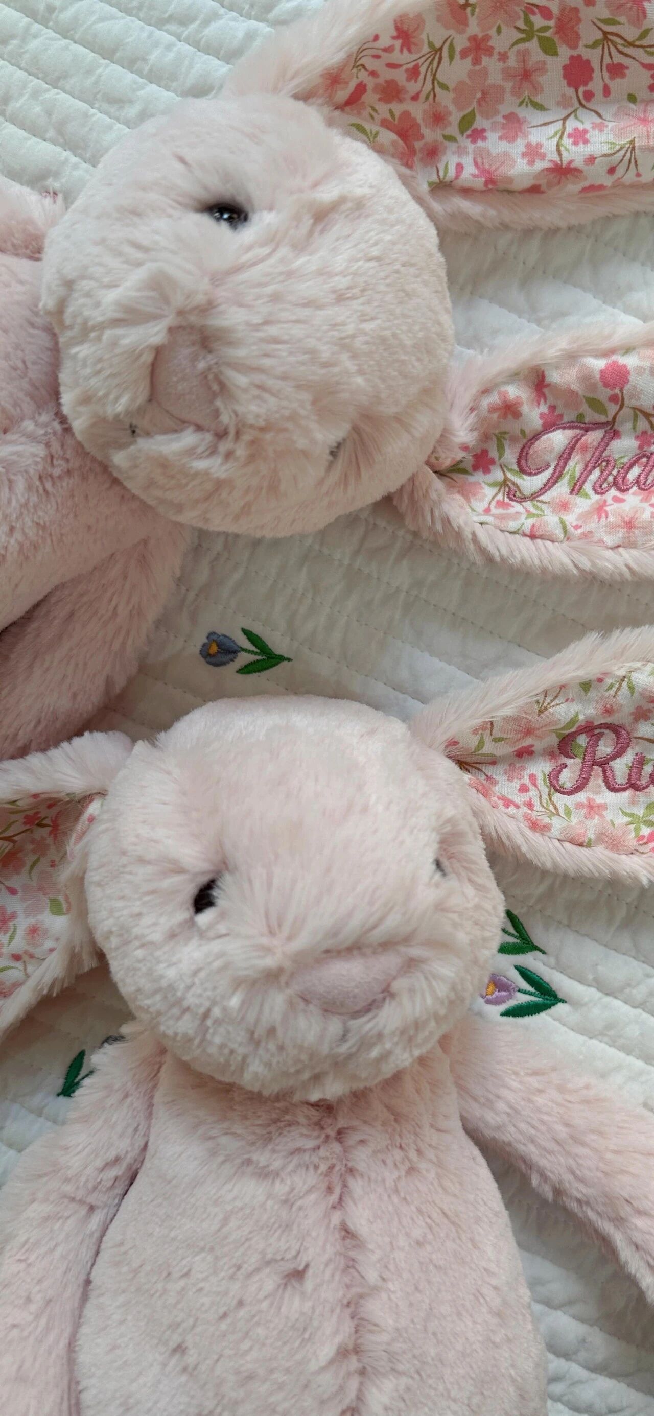 jellycat  玩命式熬夜，经常性失眠间接性崩溃，习惯性自愈成年人的情绪压抑