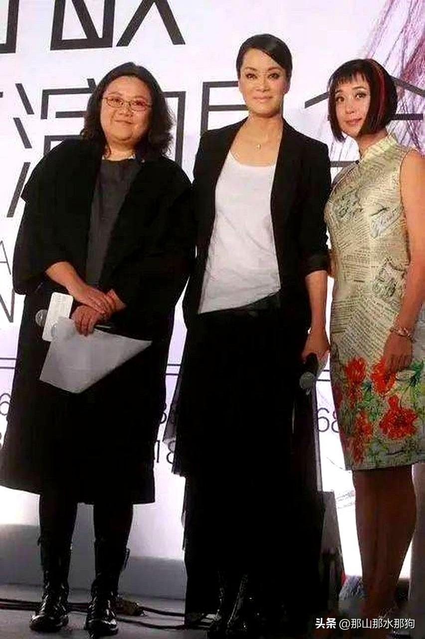 洪晃参加一些大佬们的大饭局很有意思。

洪晃受邀参加过毛阿敏的老公中植系的谢植坤