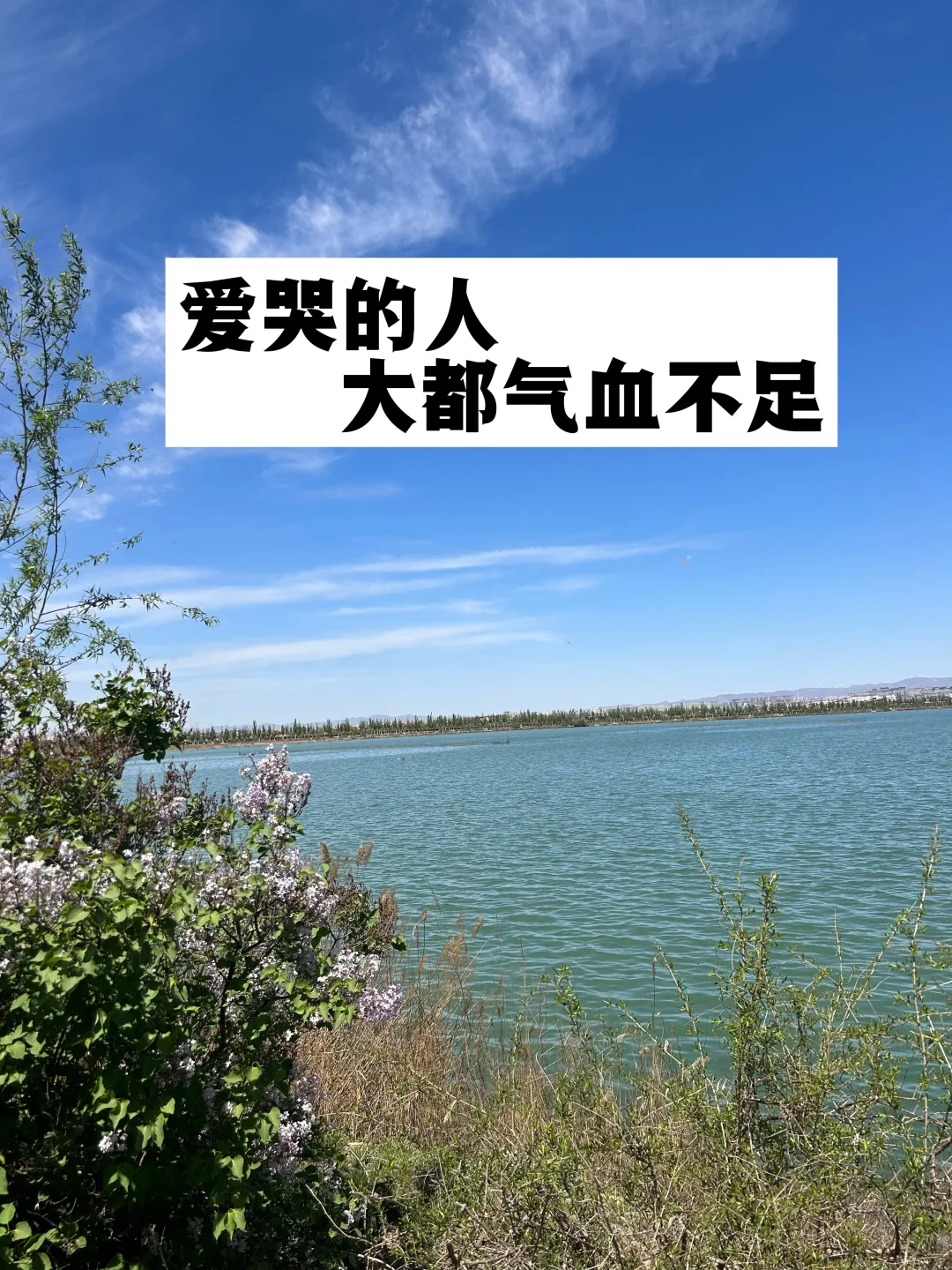 爱哭的人，大都气血不足.