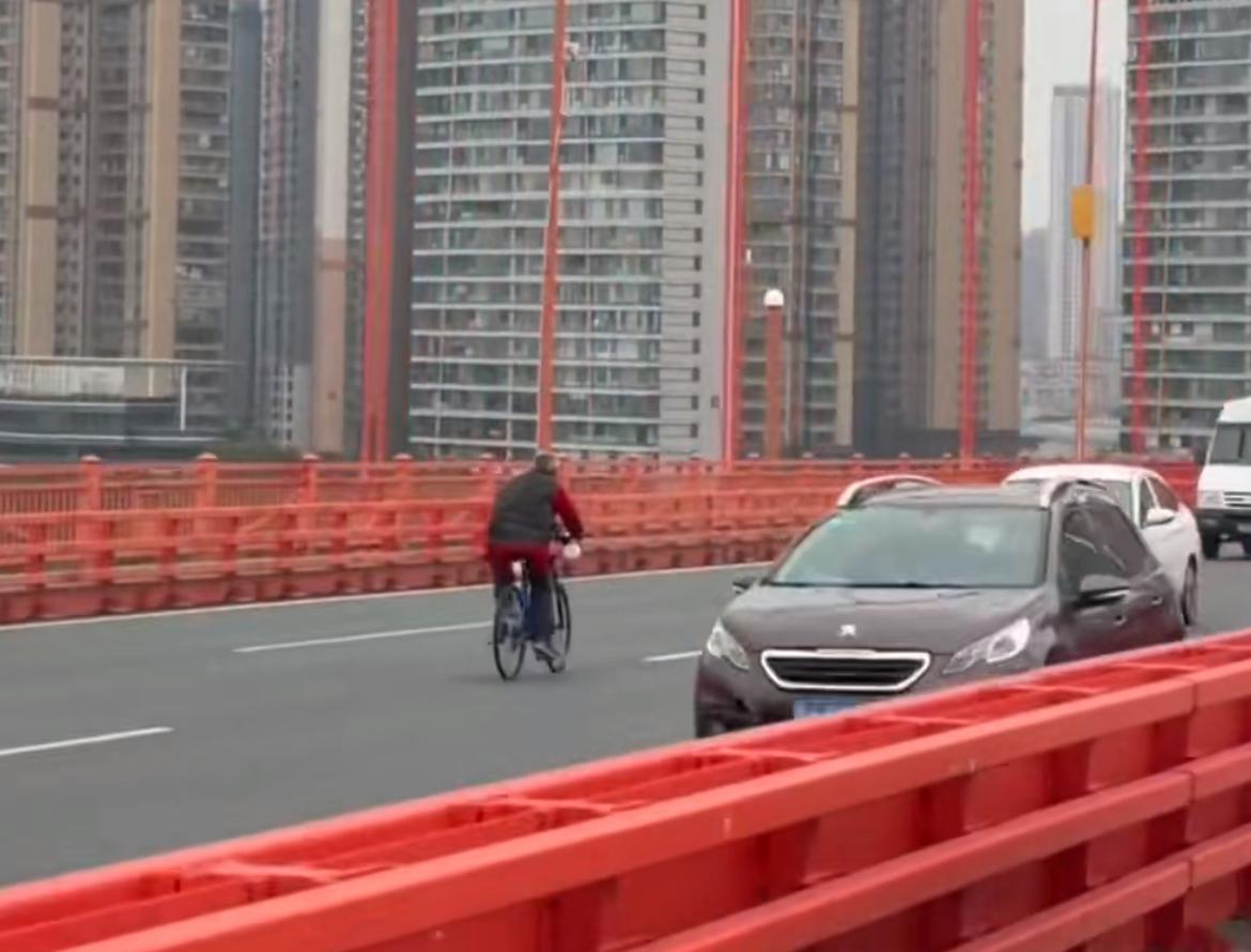 武汉的公交司机猛，没想武汉的大爷更生猛，高架桥上骑自行车逆行。只见大爷骑在中线逆