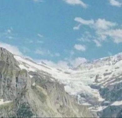 每日一善 学习向日葵，做一个积极吸收正能量的人。生活中其实没多少大风大浪，人生多