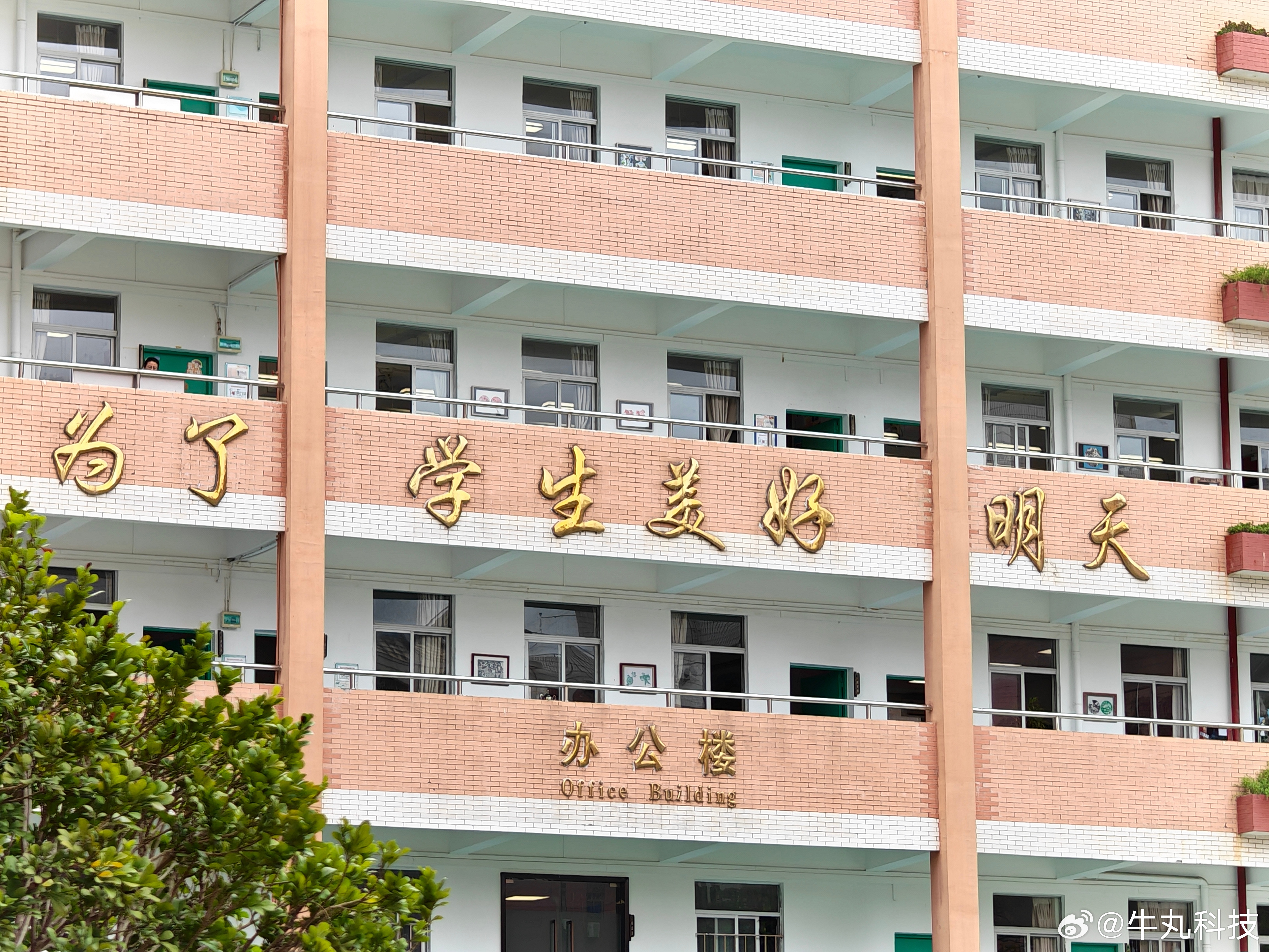 重回学生时代，今天来参加校园运动会！牛丸科技说