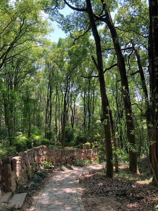 南山放牛村5km小环线徒步攻略🍃超治愈！！