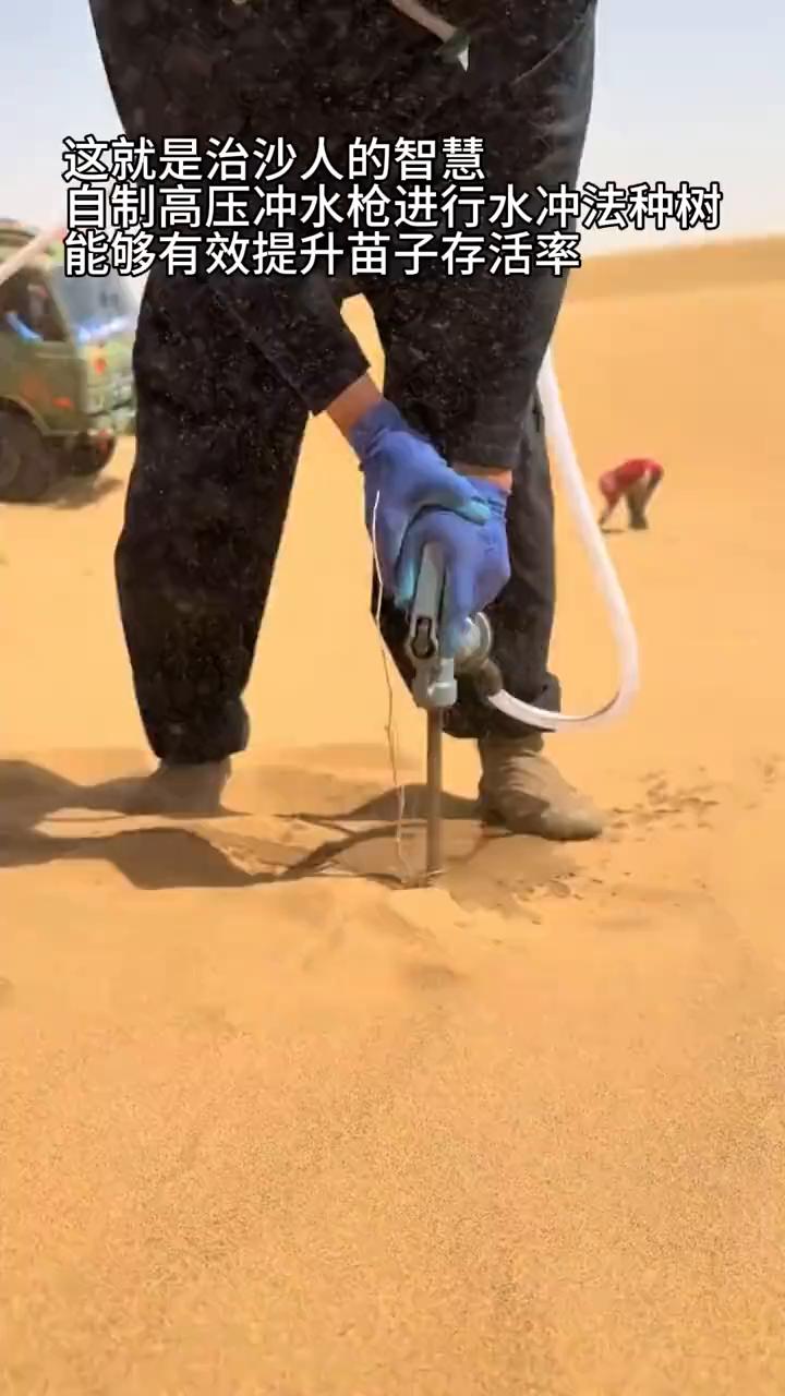 这就是治沙人的智慧，自制高压冲水枪进行水冲法种树，能够有效提升苗子存活率。