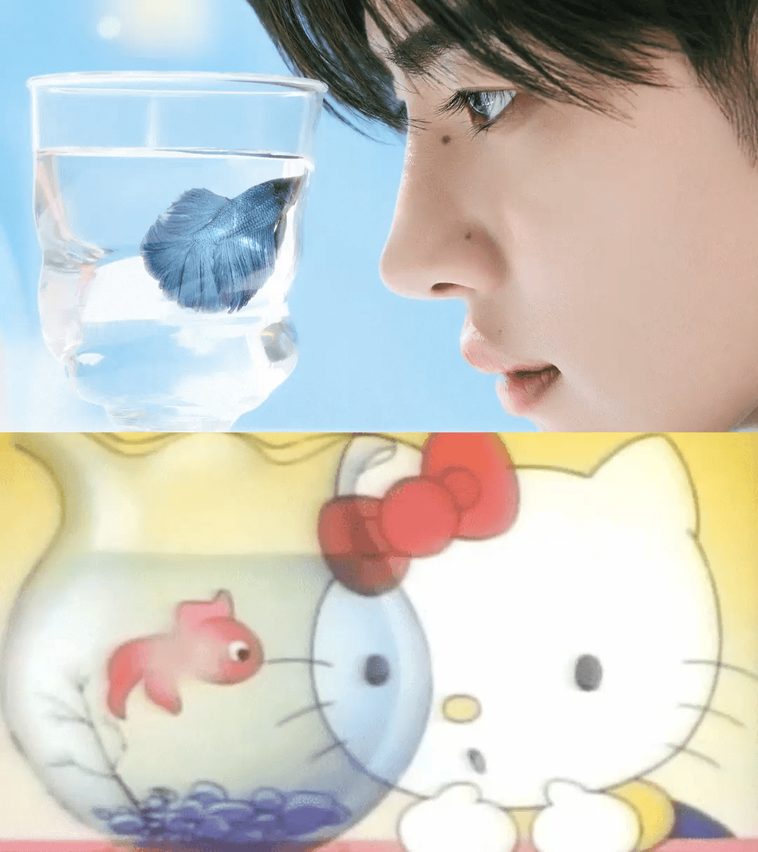 ฅ•.•ฅ🫧🫧/cafewhitefang ​​​