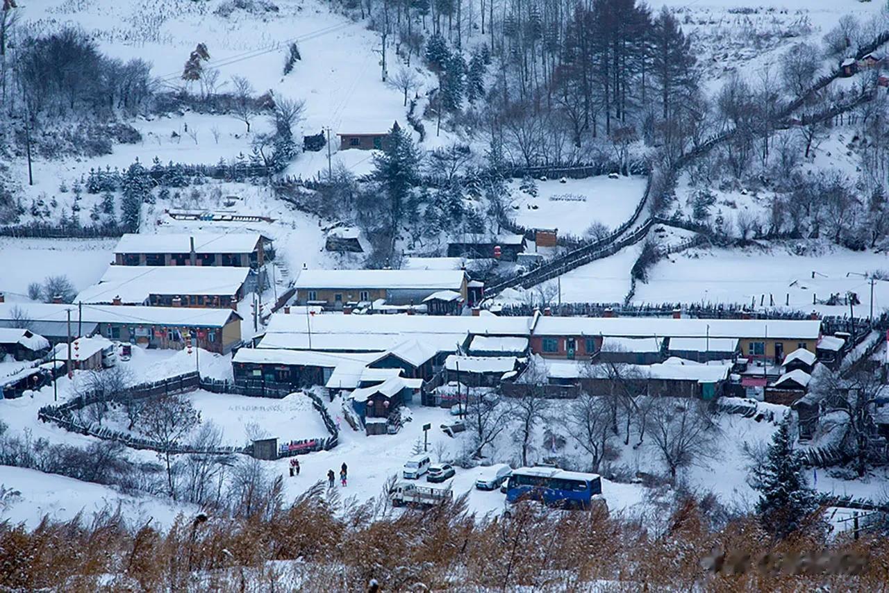【每日一景20230621】拍于吉林省白山市临江市松岭雪村   