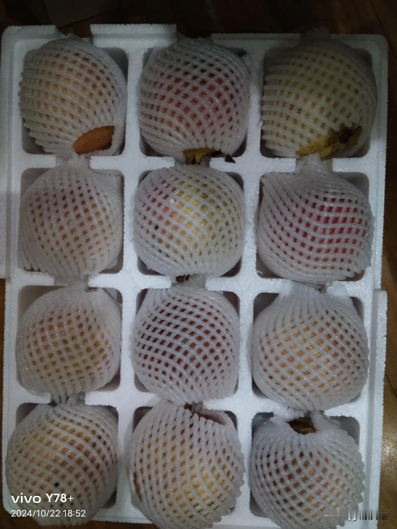 
软籽石榴
大大的石榴，
圆圆的石榴，
红红的石榴，
软籽的石榴，
您吃过吗？