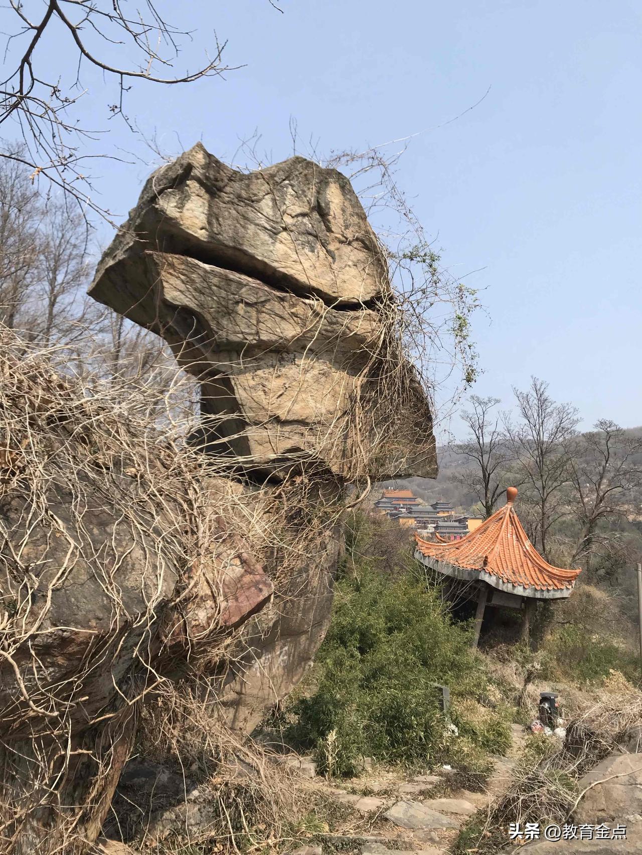 每年春季，我总会前往东磊，观赏玉兰花王绽放之姿，漫步小蓬莱幽径，领略三磊石奇观。