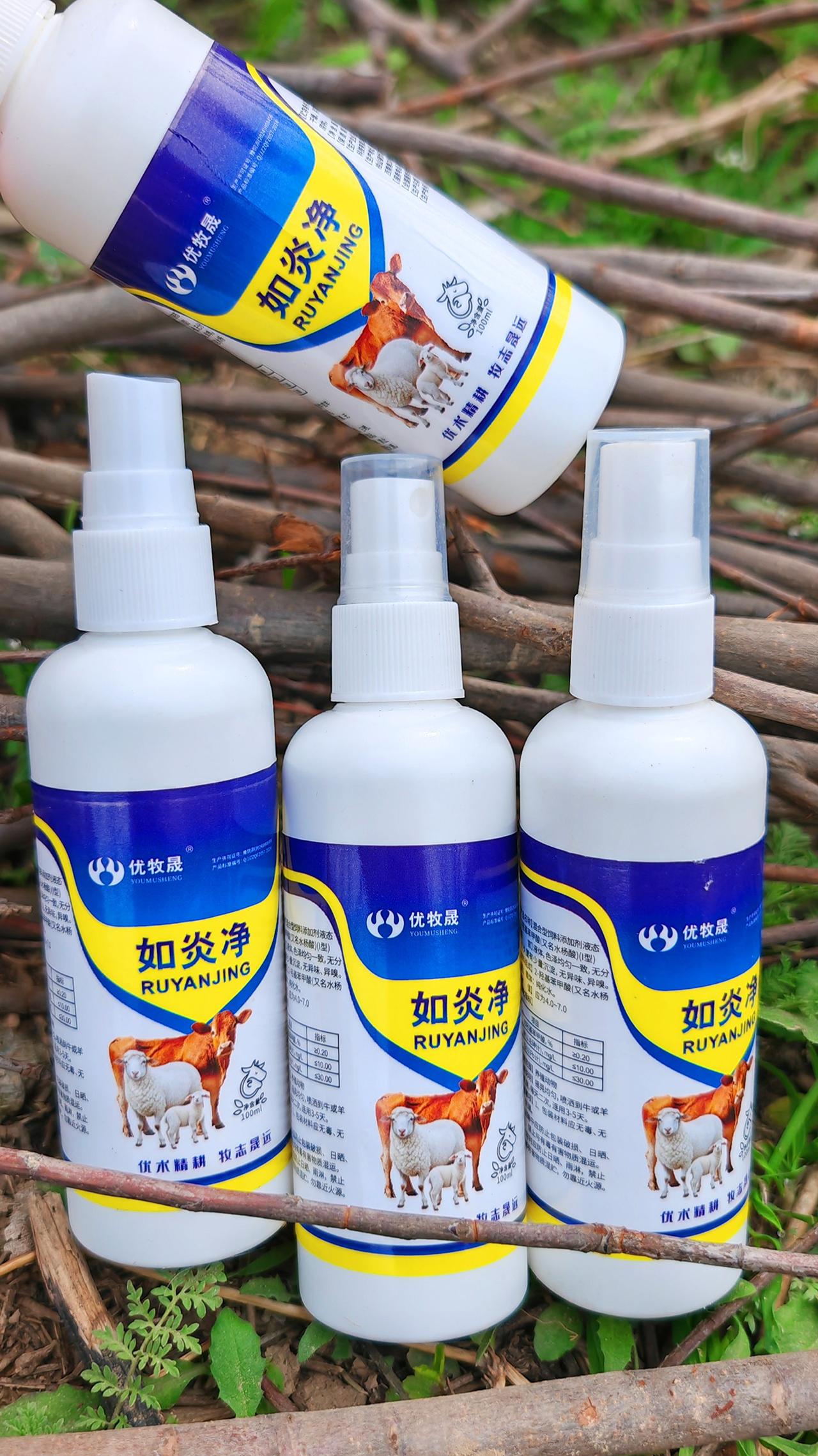 养羊人 农村养羊