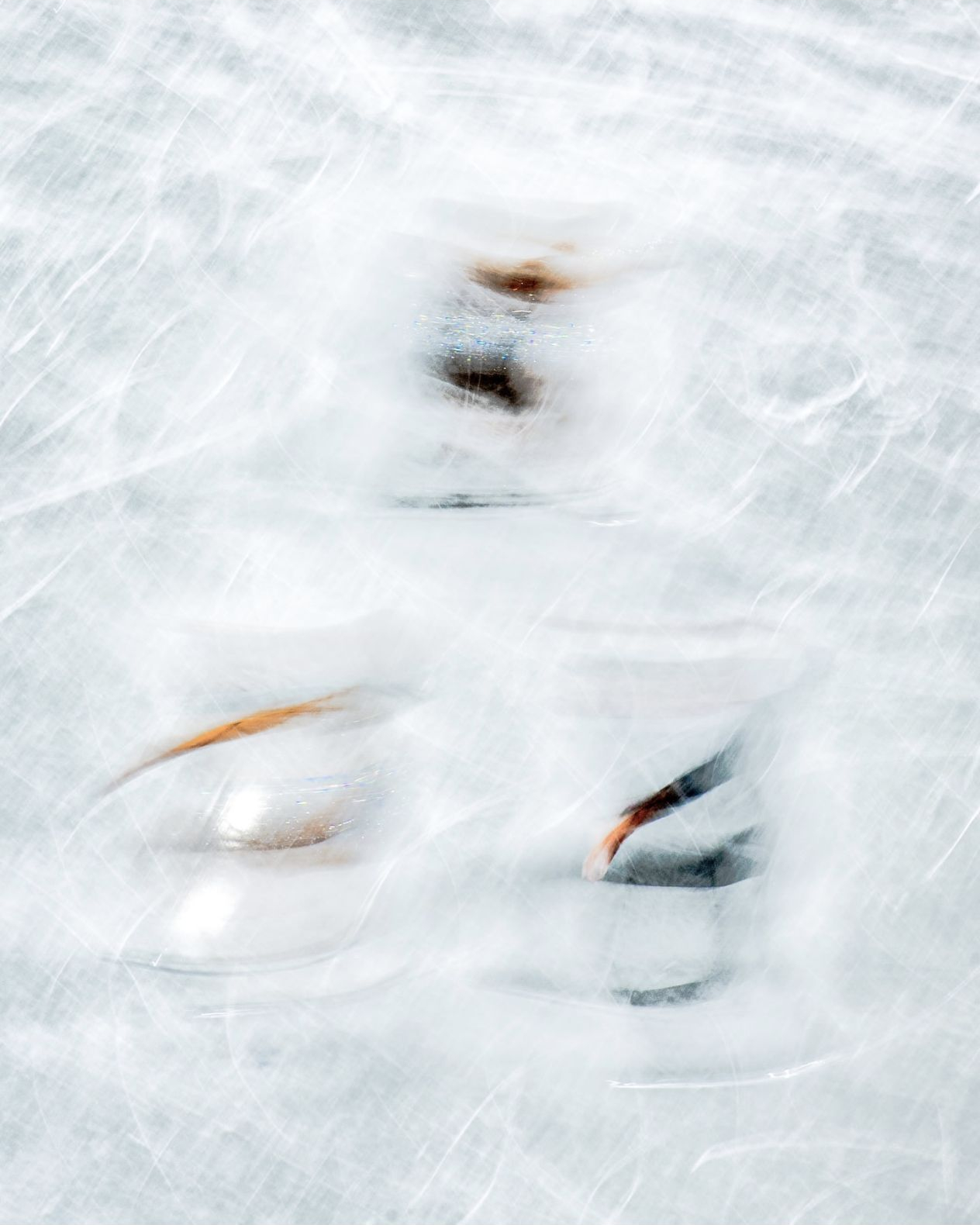 常驻米兰的摄影师Lily Wolfe 拍摄的一组米兰冬奥会冰舞剪影📸大致都能猜