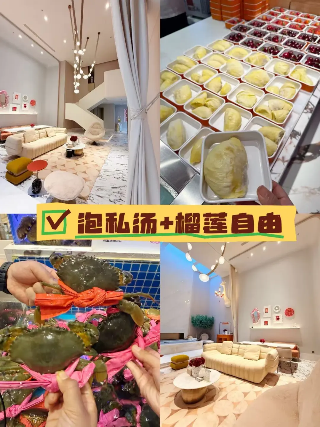 泡私汤+榴莲自由～？太幸福了吧