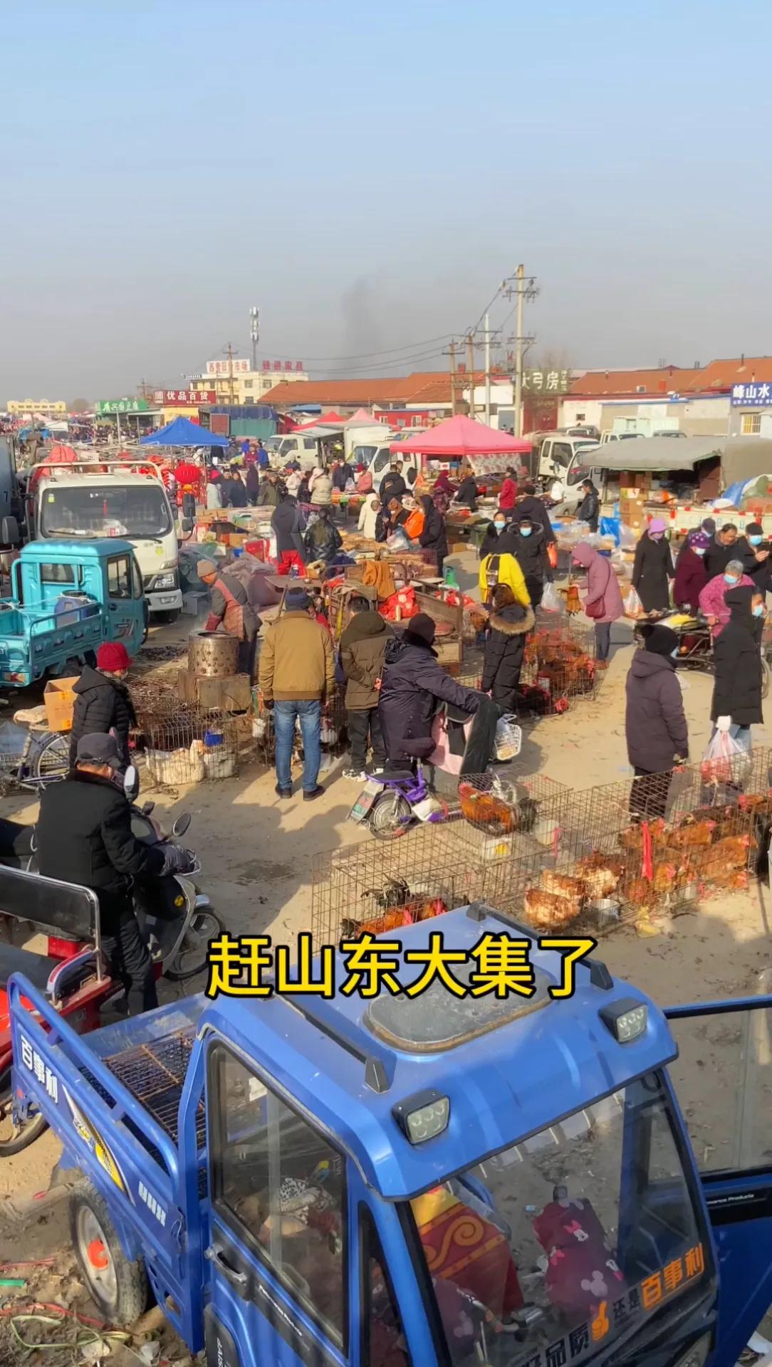 山东临沭的曹洼大集最近彻底火出圈了！原本是服务本地人的乡村集市，现在成了全国都想