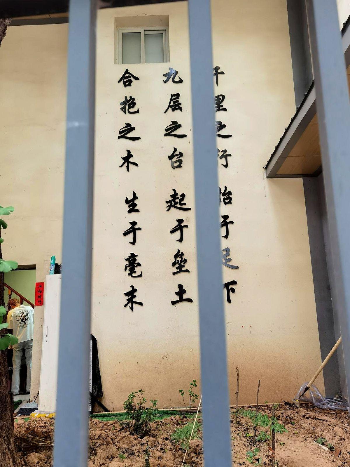 一边是早就“躺平”的降级队，一边是命悬一线的保级队，这球还有啥悬念？

克雷莫纳