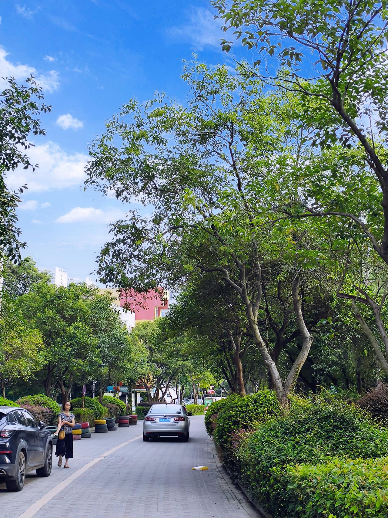 南京这天气真是让人捉摸不透啊！看天气预报说今天有雷暴雨，说不定啥时候大雨就倾盆而