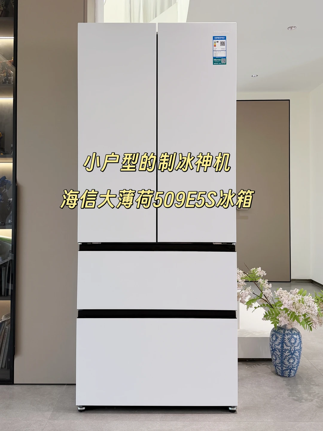 小户型的制冰神机，选它！海信大薄荷509E5S