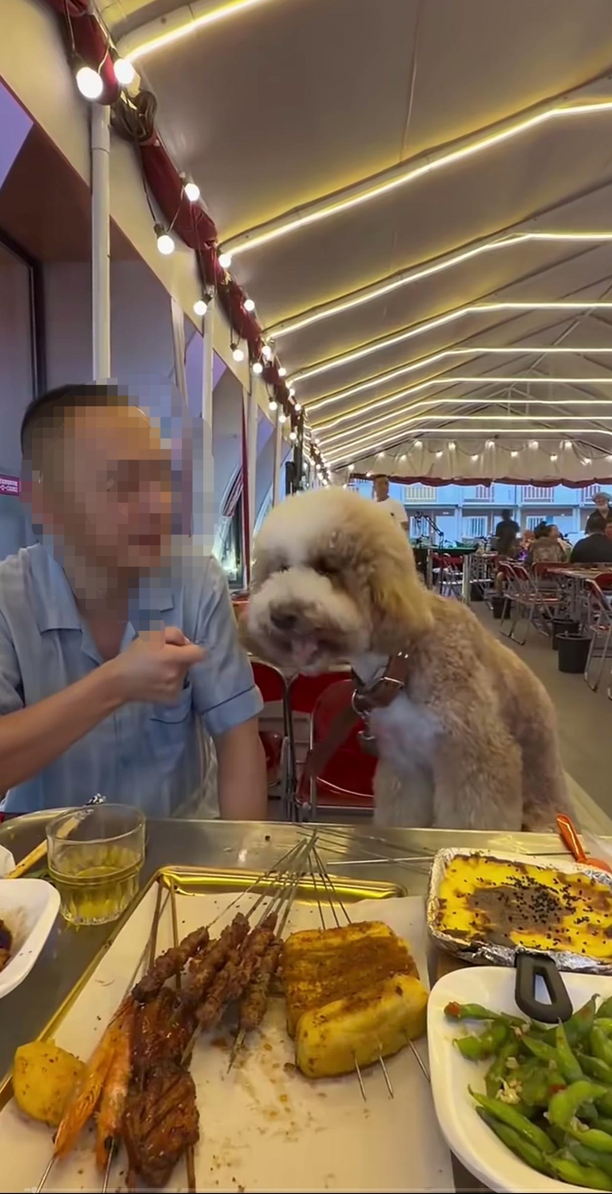 烧烤店里喂狗，又一位爱狗人士请他的爱狗吃烧烤，重复利用的烧烤铁签就这么放入小狗的