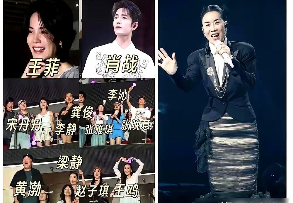 花2800买张演唱会门票，扭头一看，旁边竟然坐着大半个娱乐圈。

台上那英拉着肖