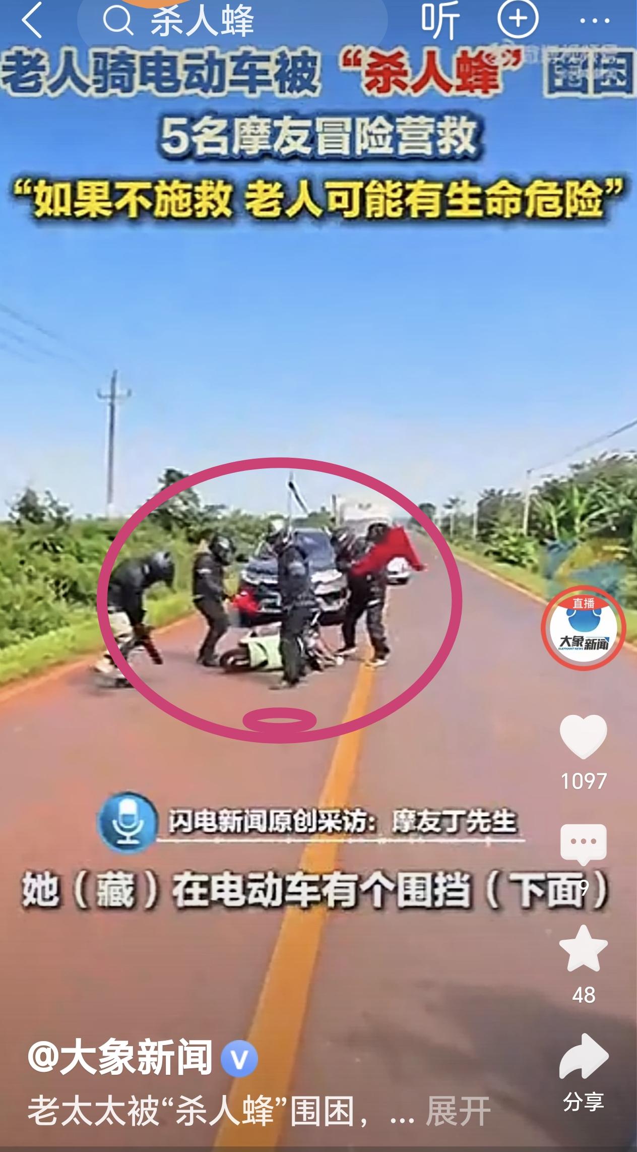 杀人蜂围攻一名骑电动车的老太太，5名摩友冒险营救。

近日，看到一则视频，原来一