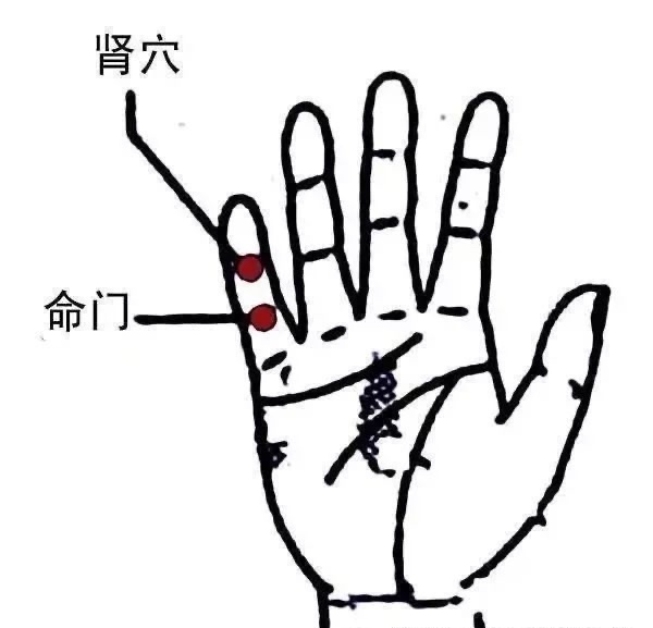 #恢复精力的最佳方式#深藏不露的“小拇指”，具有强大的强肾功能，能让你在70多岁
