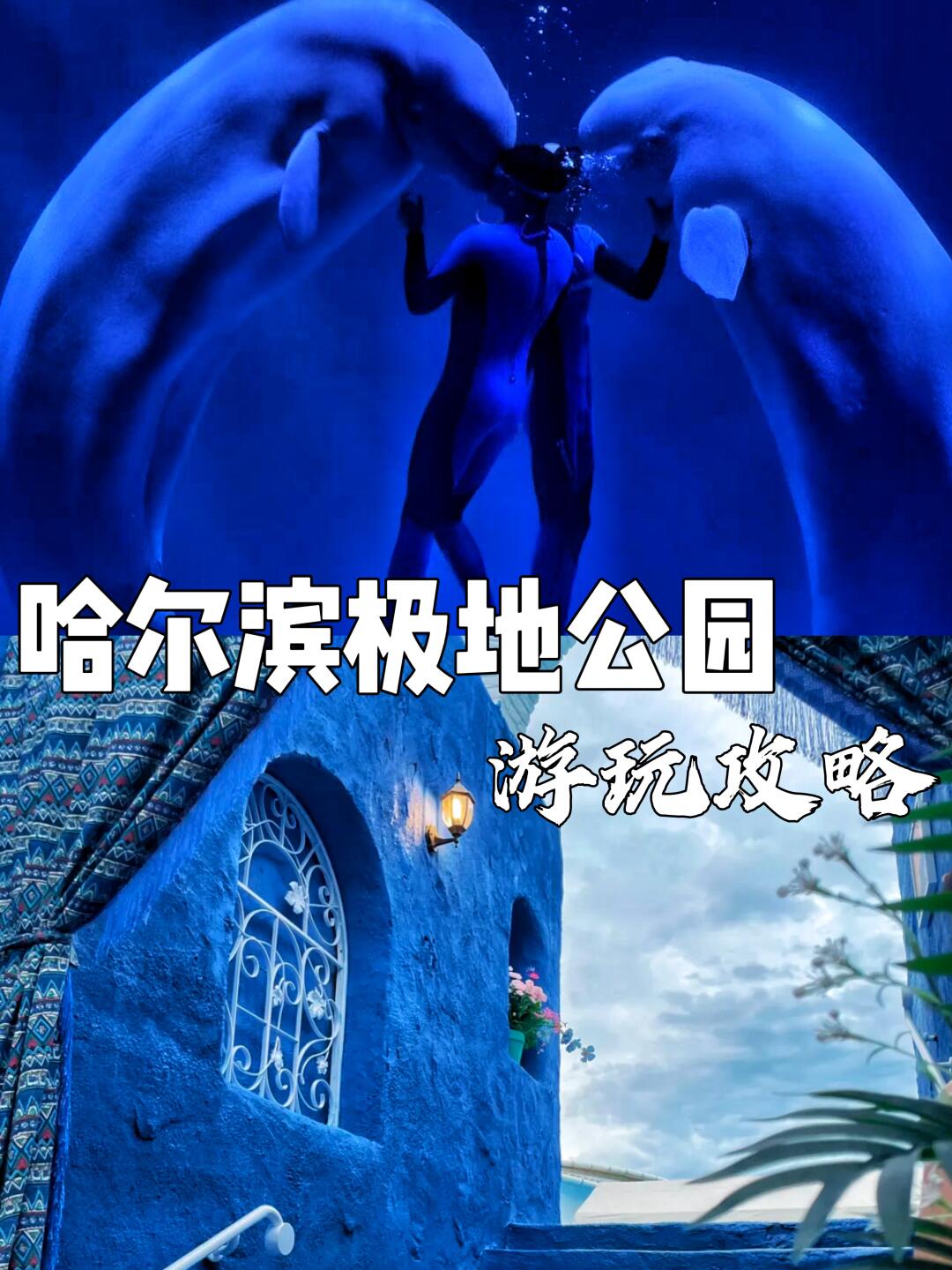 哈尔滨极地公园详细游玩攻略‼️
