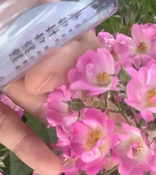 打上专车了但要带走水 