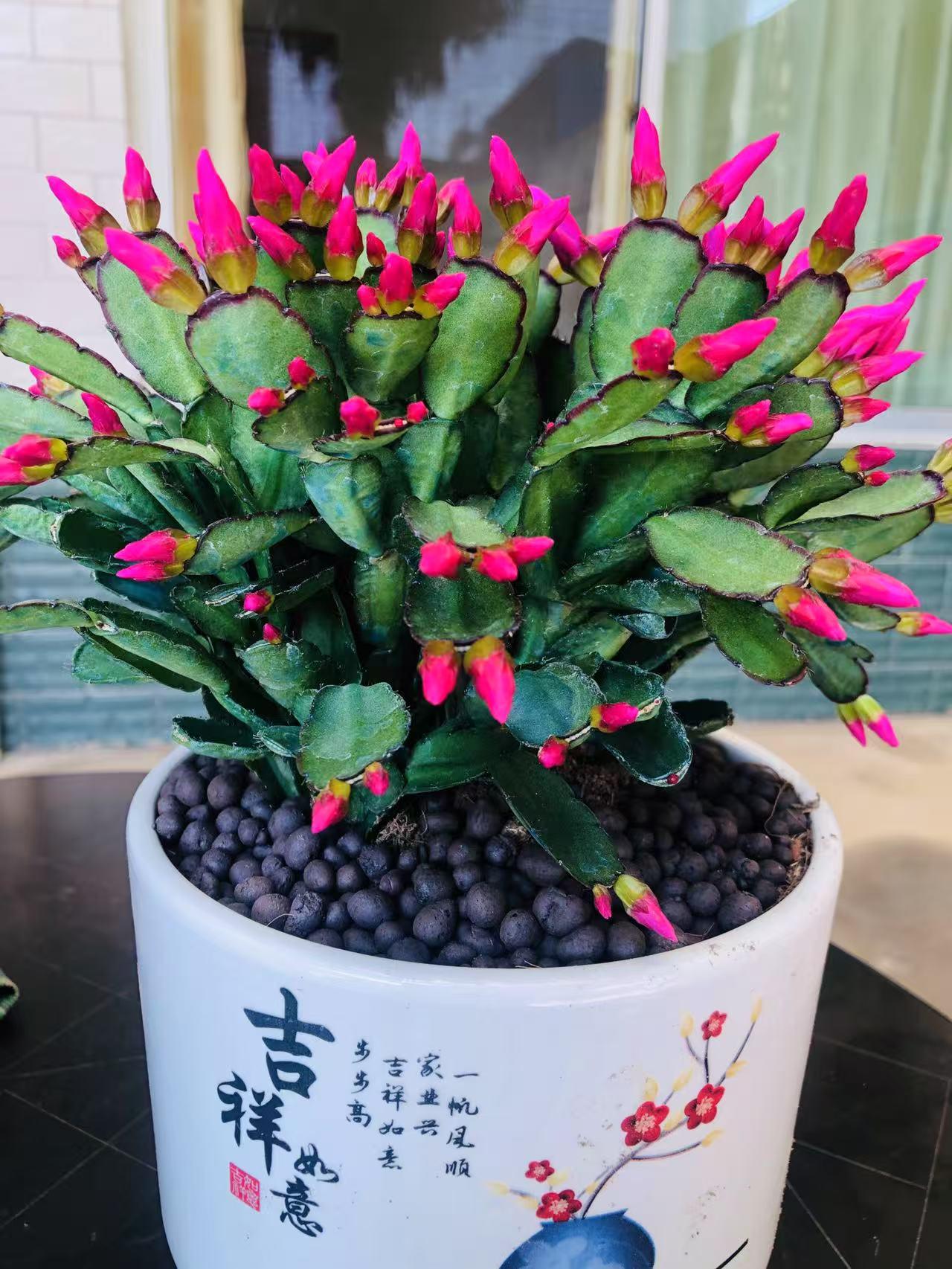 人民日报的一句话，读了，通透无比。

永远不要拎着垃圾走路。

读完真的是醍醐灌