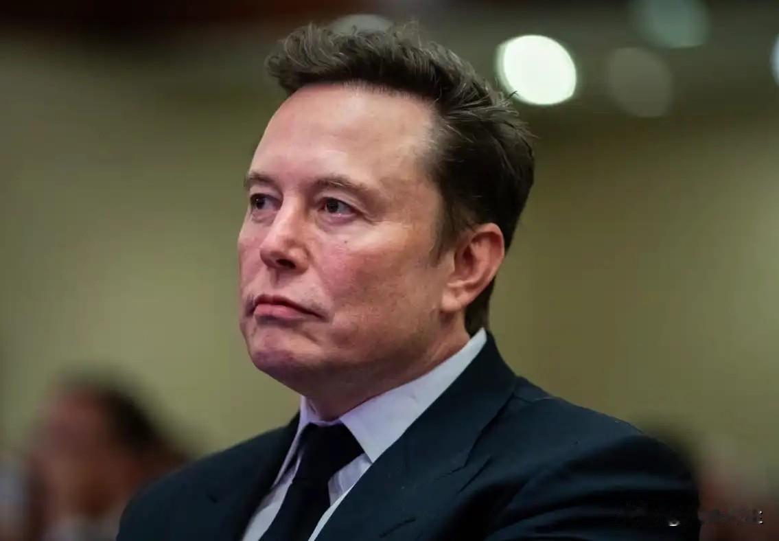 马斯克谴责了那些为明尼苏达州民主党索马里欺诈案辩护者。

马斯克在X上评论道：“