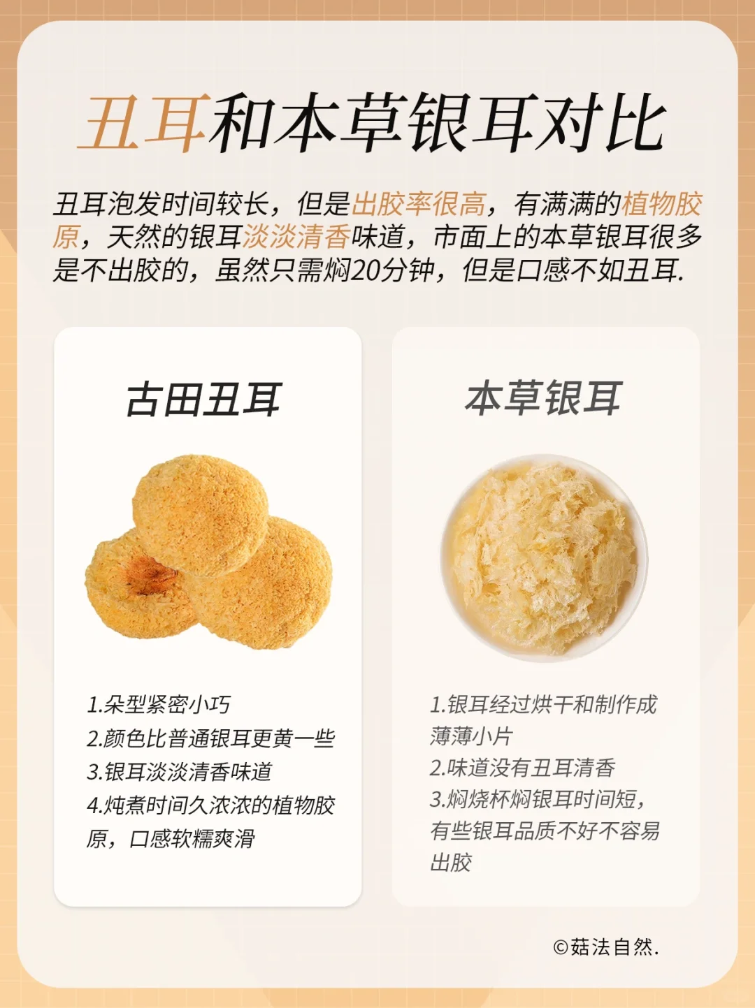丑耳和本草银耳的对比✅