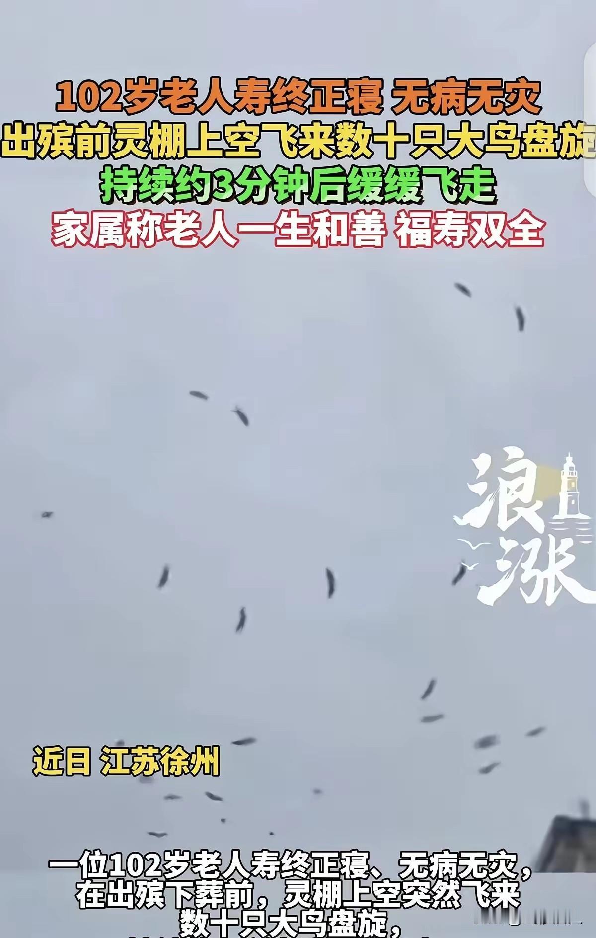 四月的徐州，春风裹着泥土的清香，田间春耕正忙，可这天清晨，整个村子的目光都聚焦在