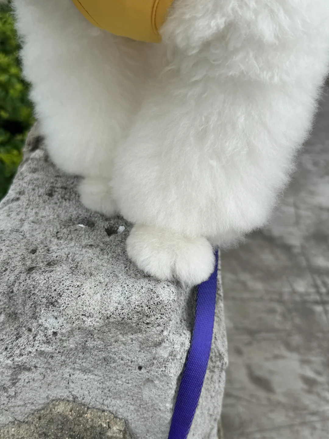 玉足