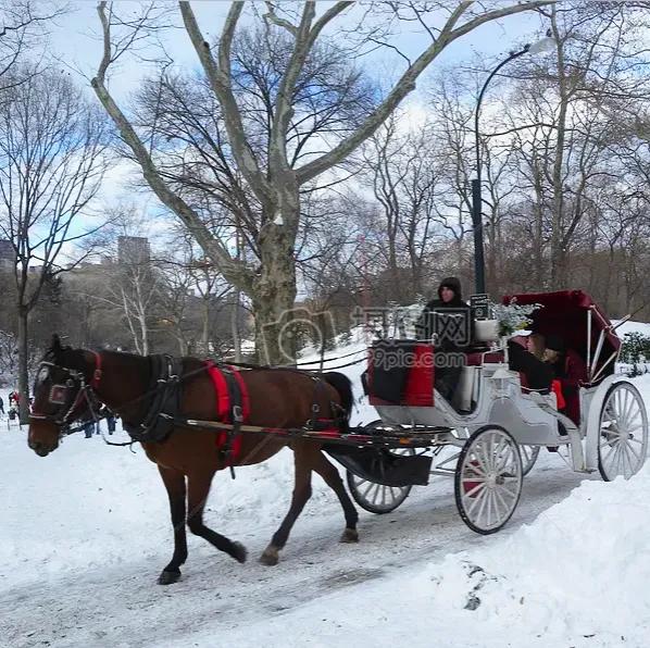 方圆天地，为头条联友对联：
月寒星冷梅相伴，
风劲雪飞马共行。