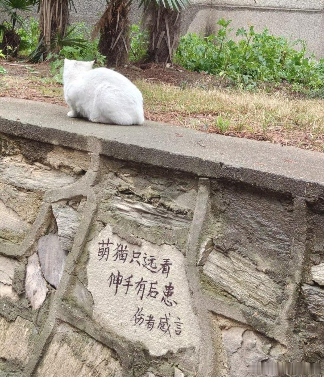 未来的考古学家看到后：嘿嘿 