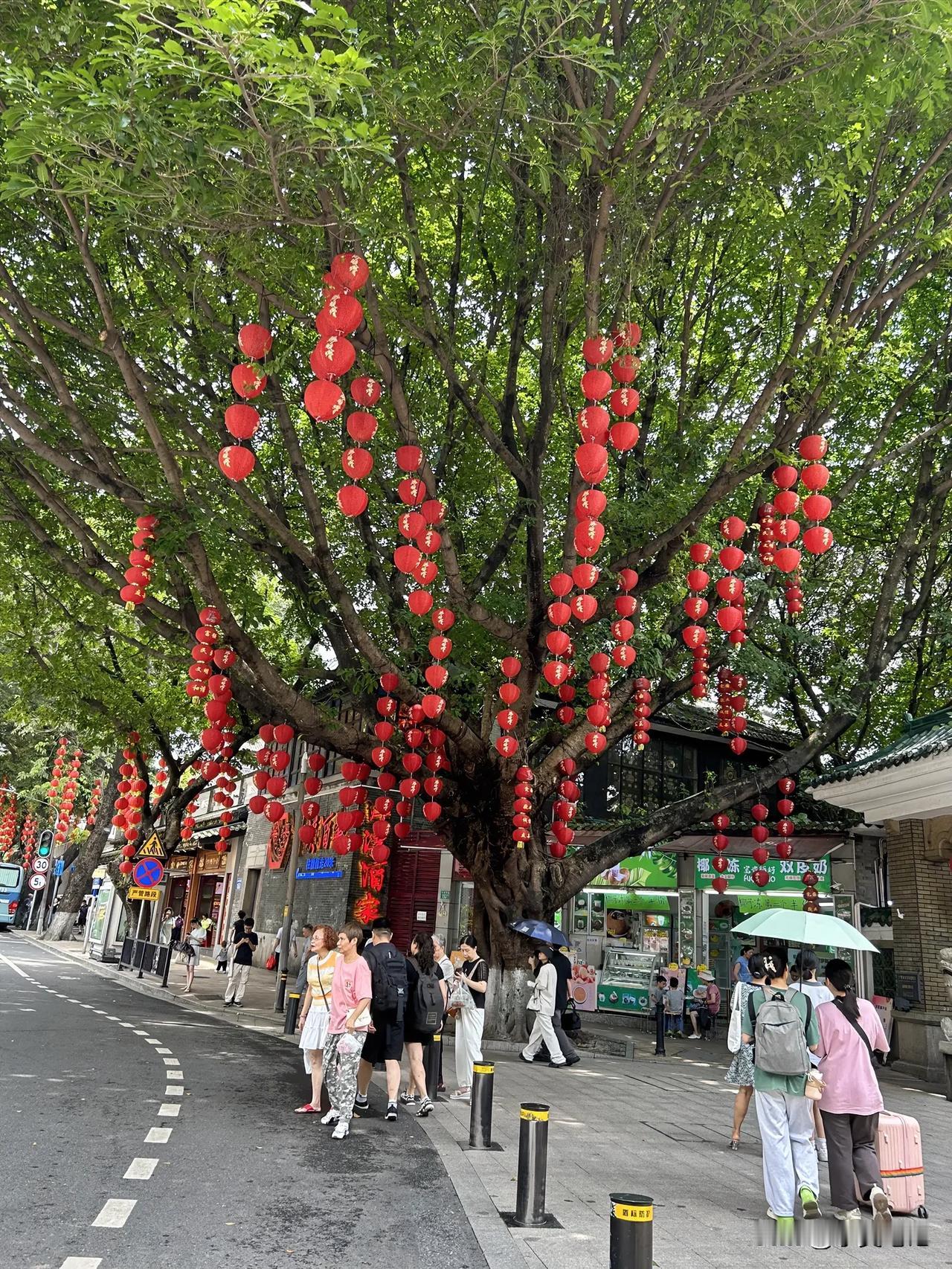 #随手拍夏日风光#
悠悠夏日，平淡如常。
