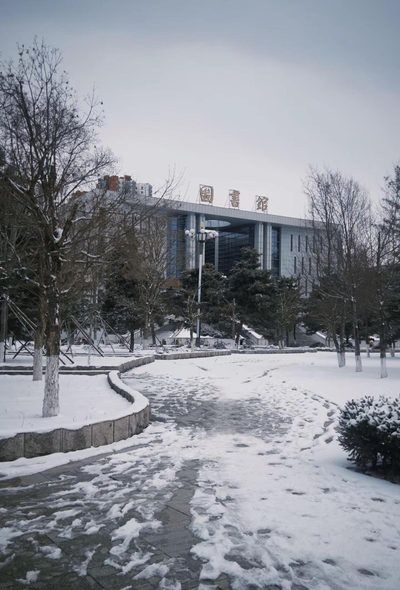 吉林|三月入春失败。三月中怎么还在下雪🥲校园雪景 雪景 东北 东北电力大学