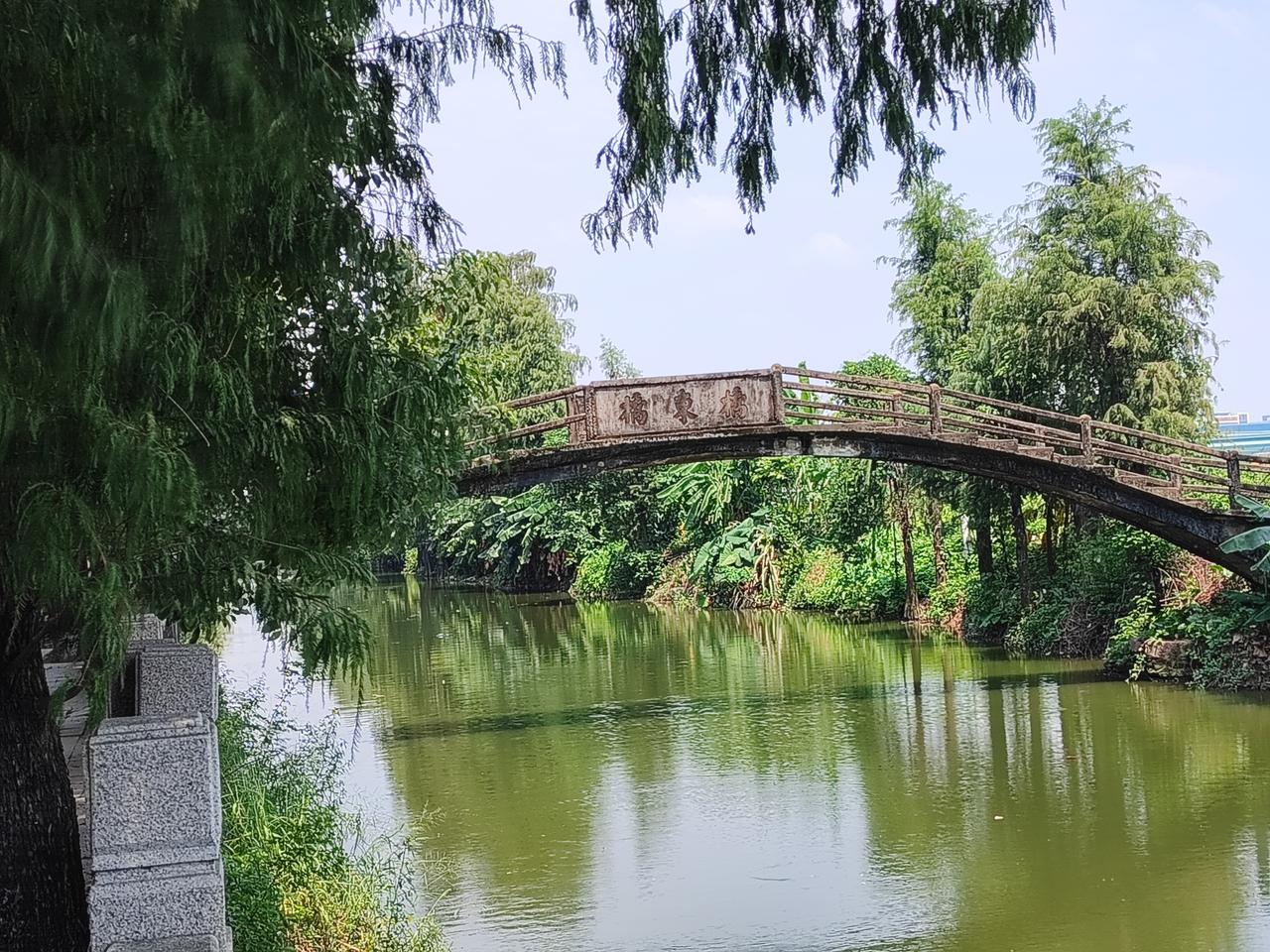 众涌桥东桥：一曲《弯弯的月亮》，一座水乡老桥

顺德勒流众涌村，河网交织，基塘连