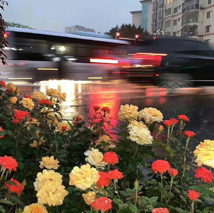 🥨“你只管往前跑 没什么大不了 ” 