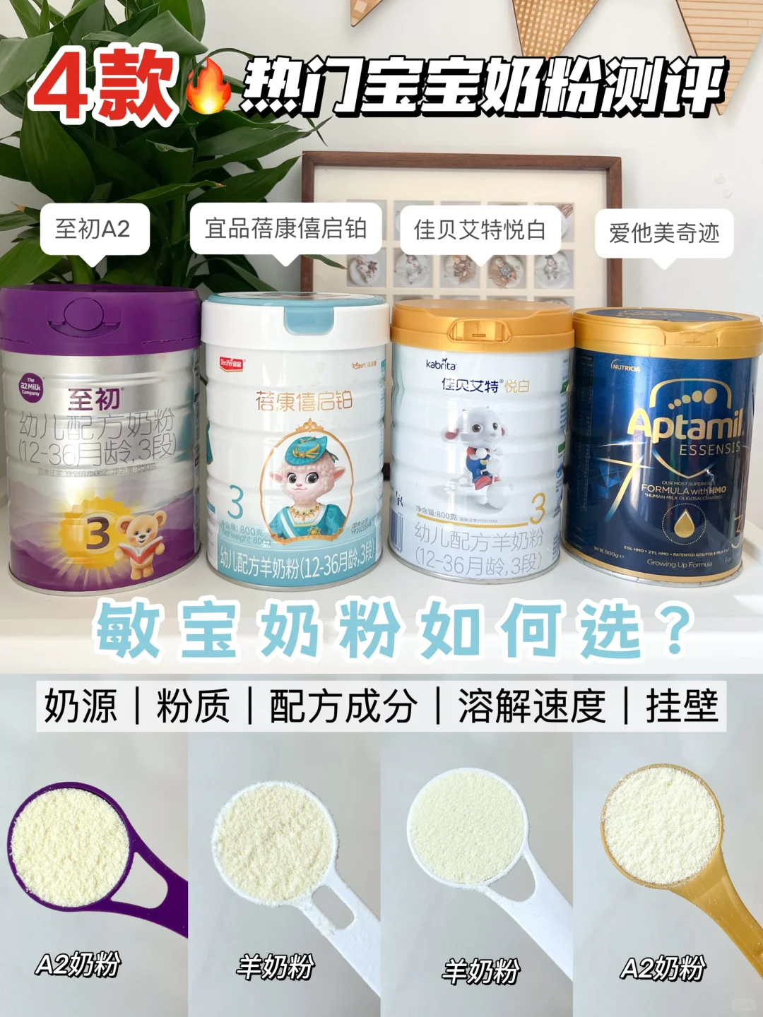 敏宝第一口奶怎么选？4款热门奶粉大PK