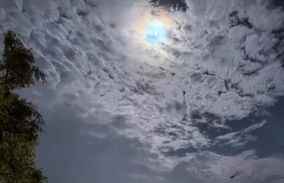 ❤️一个人的头脑越清醒，性格就越稳定。所谓脾气好，背后是算力强，忍耐从不是靠修炼