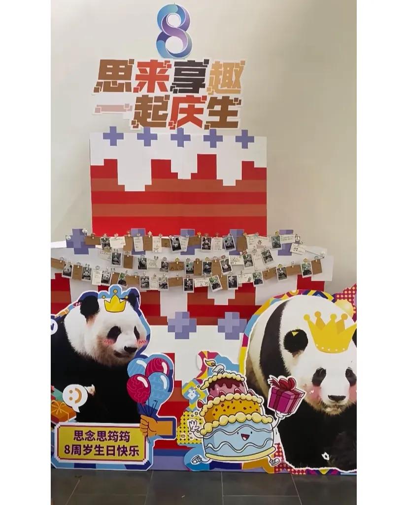 有些直播熊猫的主播别太离谱
来给住在厦门的思念思筠筠过生日，刚好碰到一个大妈在弟